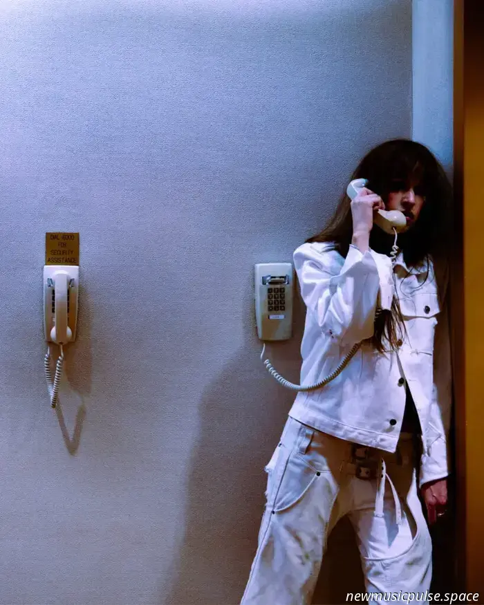 Rompere il sistema: Marie Davidson intervistato