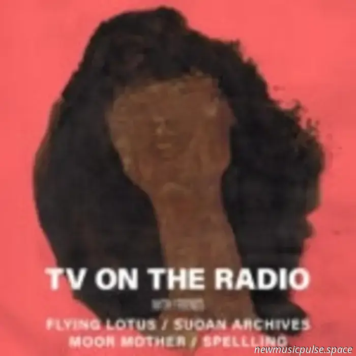 There Goes the Neighborhood Review: A Festival Curated by TV on The Radio - Atwood Magazine