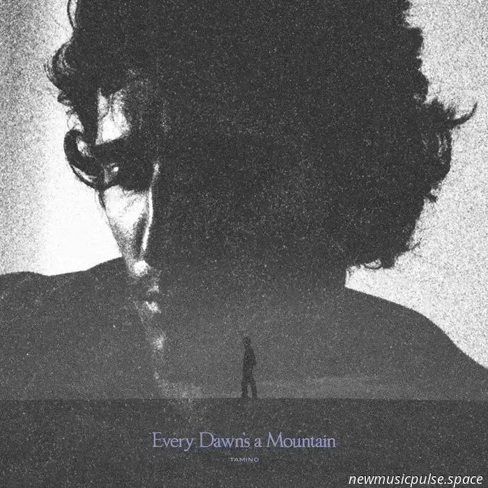 Tamino - Jeder Morgen ist ein Berg