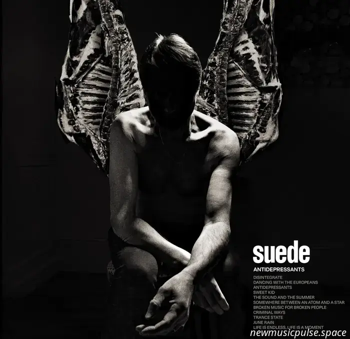 Suede – Антидепрессанты