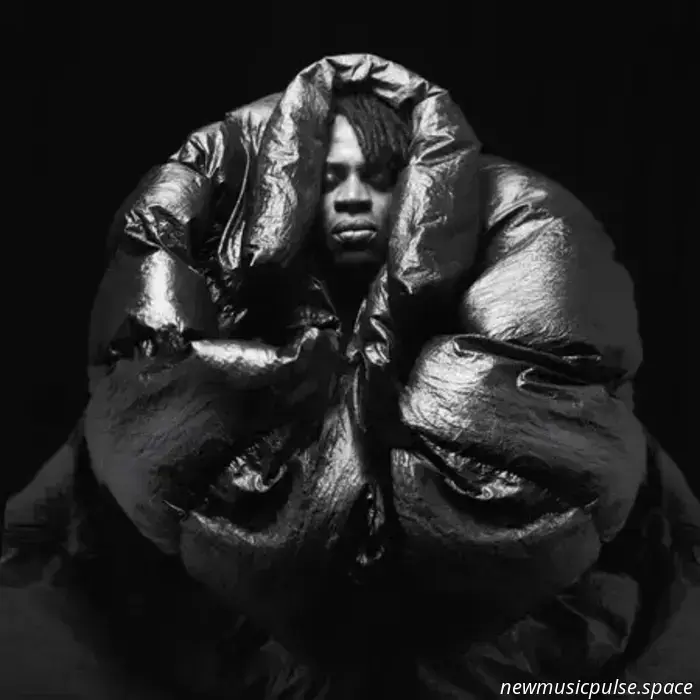 WAYNE SNOW svela il nuovo album 'Snowdome'
