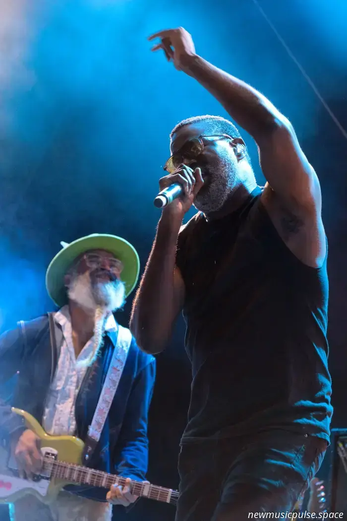 There Goes the Neighborhood Review: A Festival Curated by TV on The Radio - Atwood Magazine