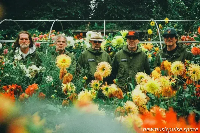 Super Furry Animals sind zurück! Neue Tourtermine bestätigt