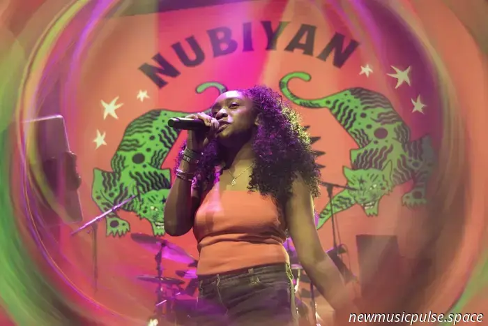 Nubiyan Twist Unveils Upcoming Album ‘Chasing Shadows’
