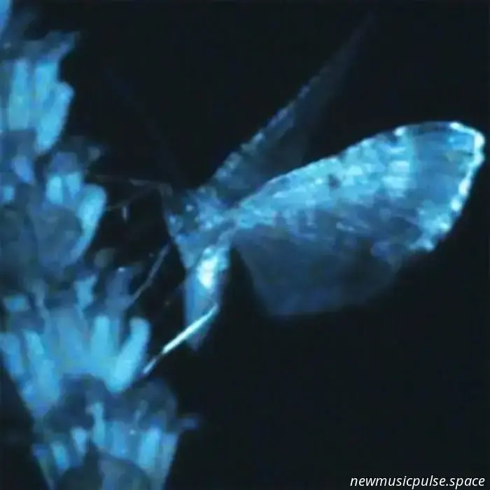 Lernen, sich selbst wahrzunehmen: Annika Bennett über die Intimität, Erlaubnis und Hingabe von „Triple Shooting Star“ - Atwood Magazine