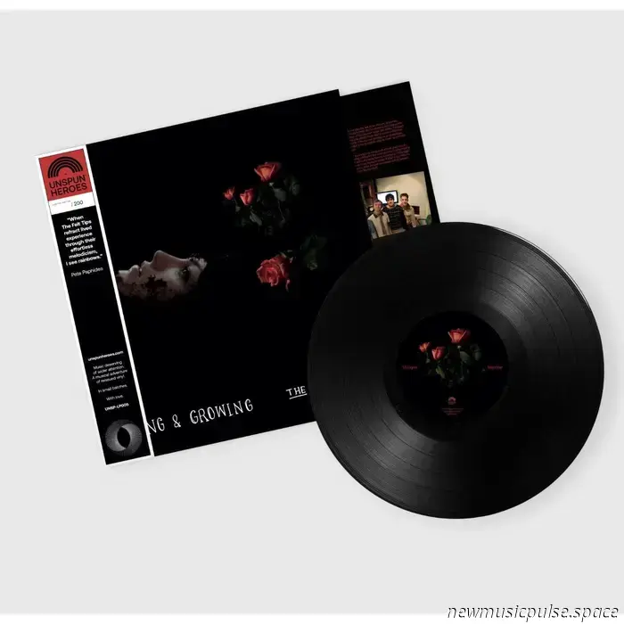 Appena suonato: una rubrica sui dischi in vinile n. 66