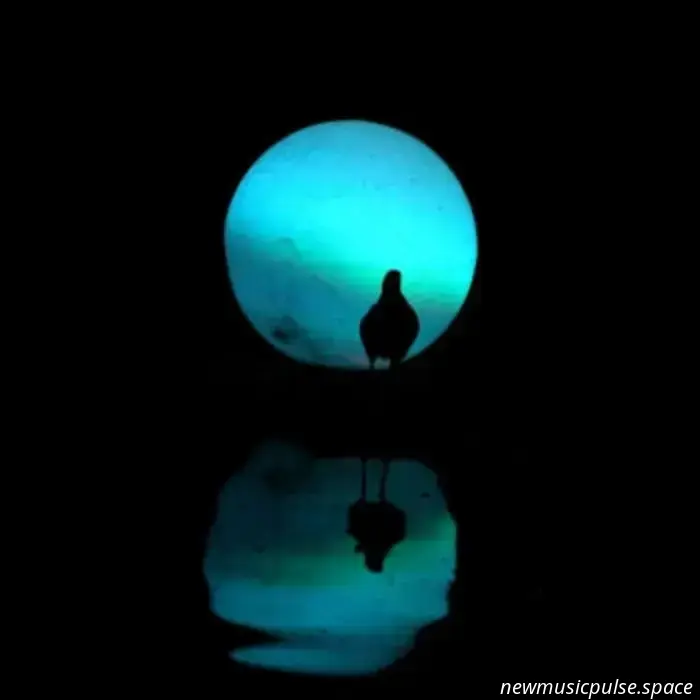 Selecciones del editor n.º 137: Amanda Bergman, The Paper Kites, Mon Rovîa, Jade Street, Dollpile y Elliott Skinner! - Atwood Magazine