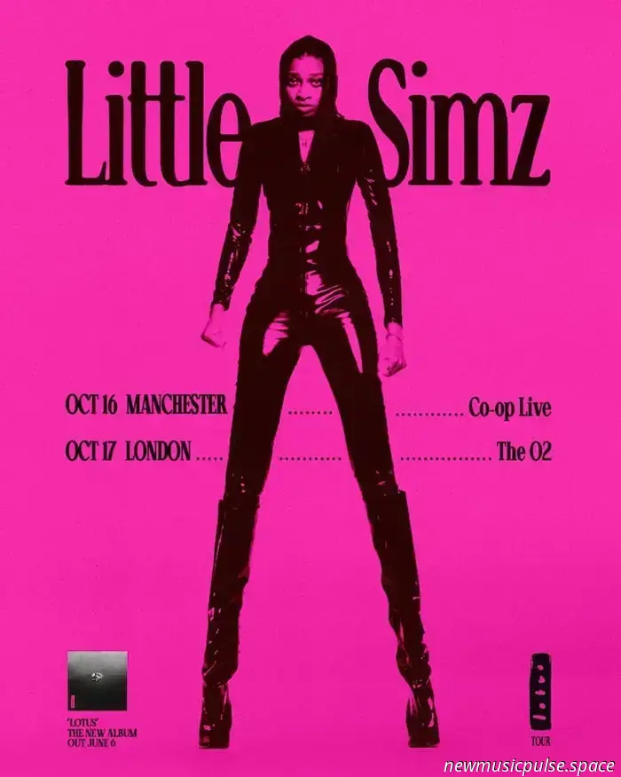 Resoconto dal vivo: Little Simz – The O2 Arena, Londra