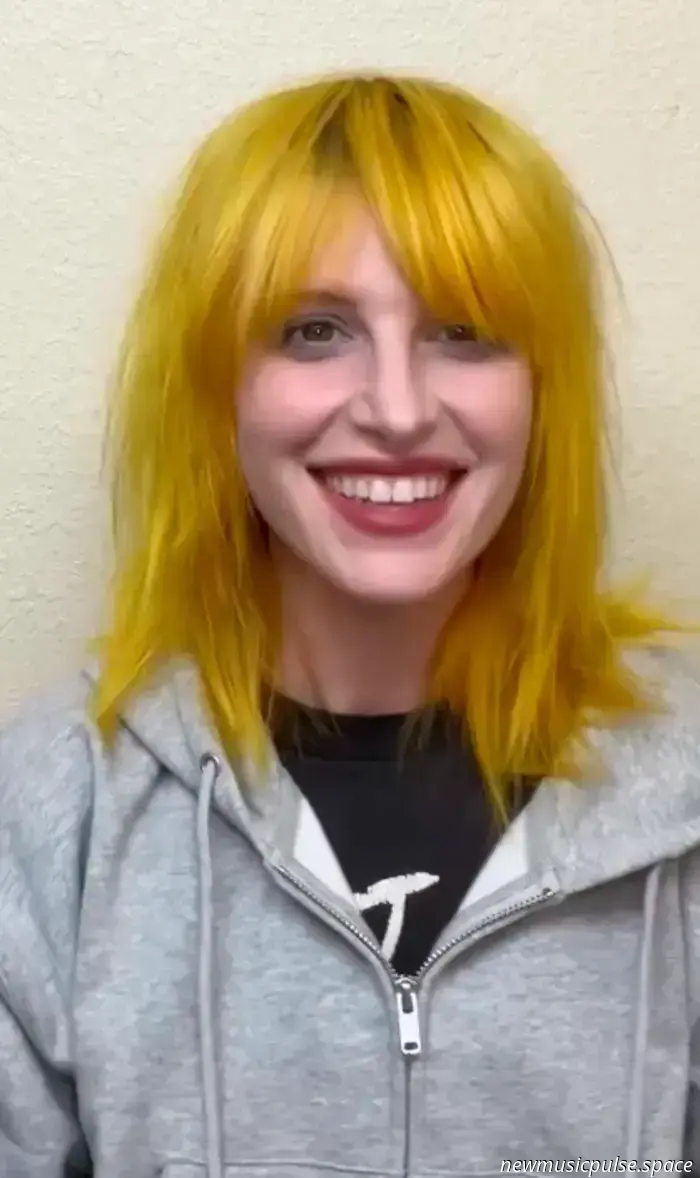 Hayley Williams – Ego