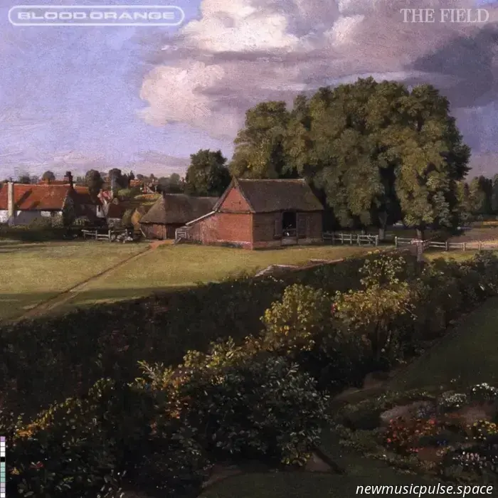 Blood Orange Alcanza Alturas Sublimes Con 'The Field'