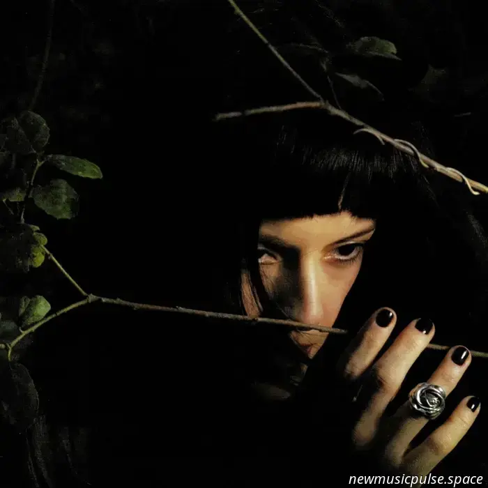 Roundtable: An Examination of Not for Radio’s ‘Melt’ - Atwood Magazine