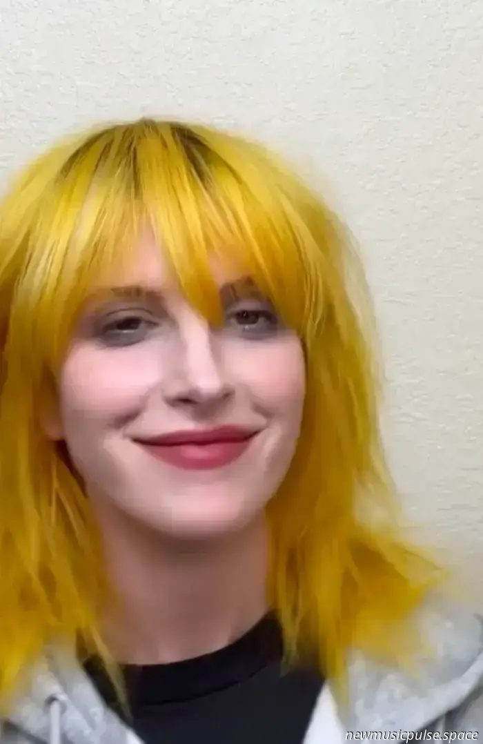 Hayley Williams – Ego