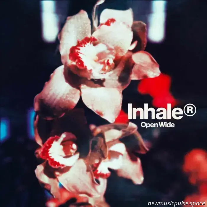 Inhaler – Open Up