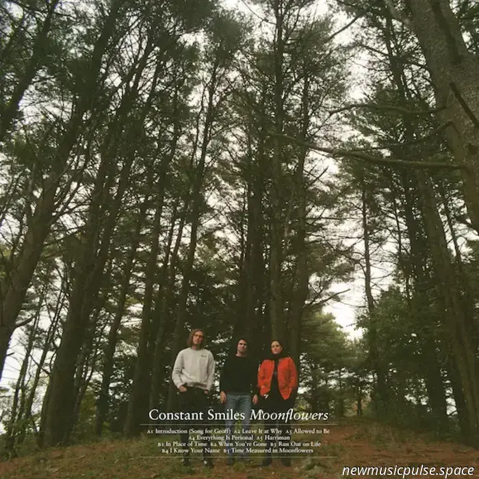 Constant Smiles kündigen neues Album „Moonflowers“ an.