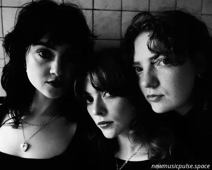 Intervista: il debutto dei Folk Bitch Trio presenta testi coraggiosi e armonie meravigliose - Atwood Magazine