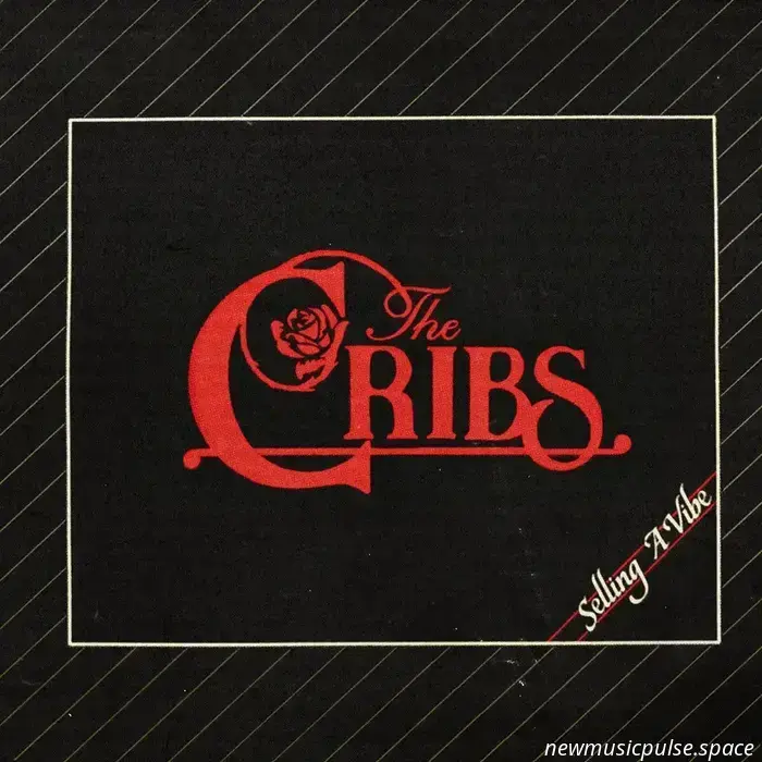The Cribs объявили о новом альбоме «Selling A Vibe»