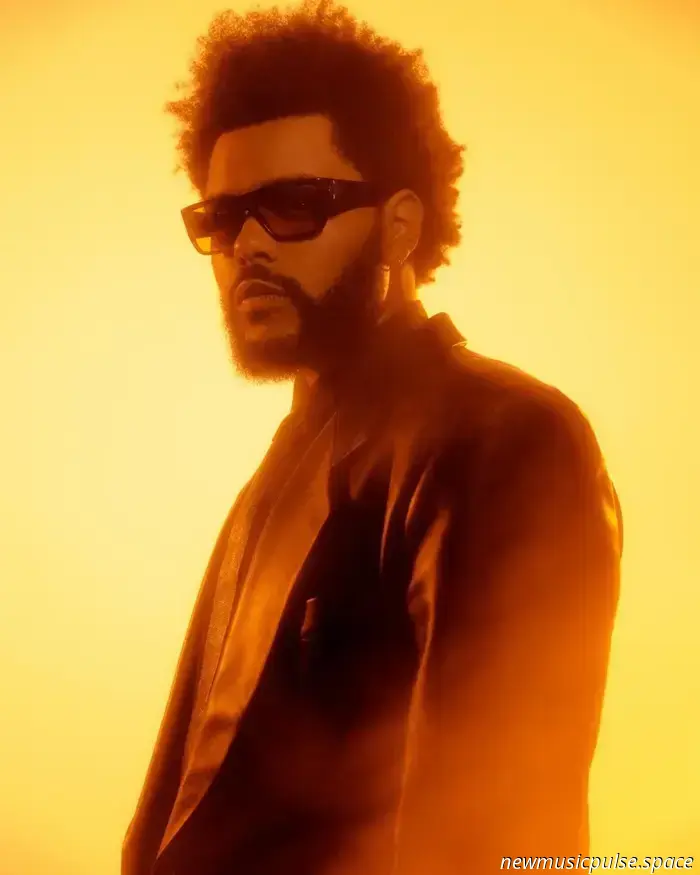 The Weeknd spendet 350.000 US-Dollar für Hurrikanhilfe in Jamaika
