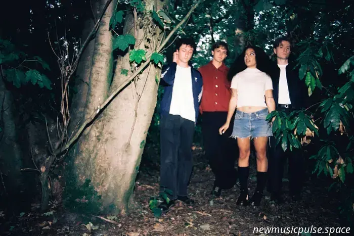 English Teacher enthüllen Details zu „This Could Be A Remix Album“