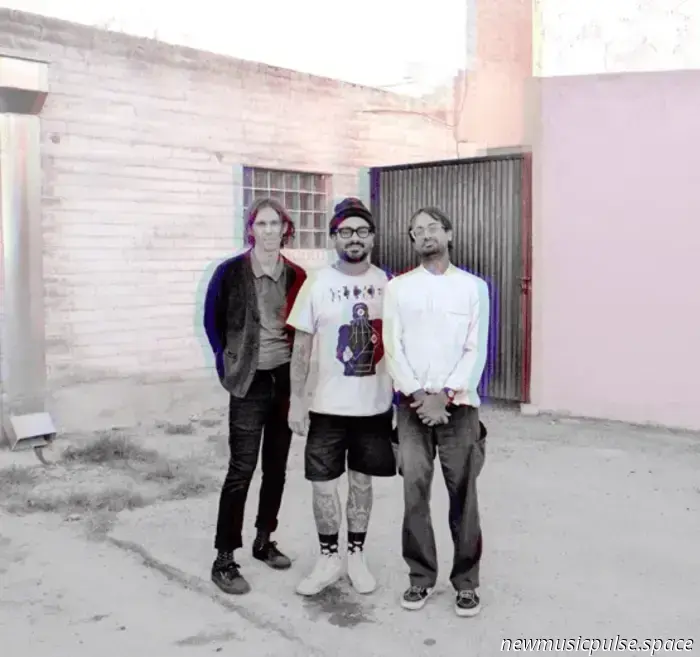 Mute Swan Announces New Album ‘Skin Slip’