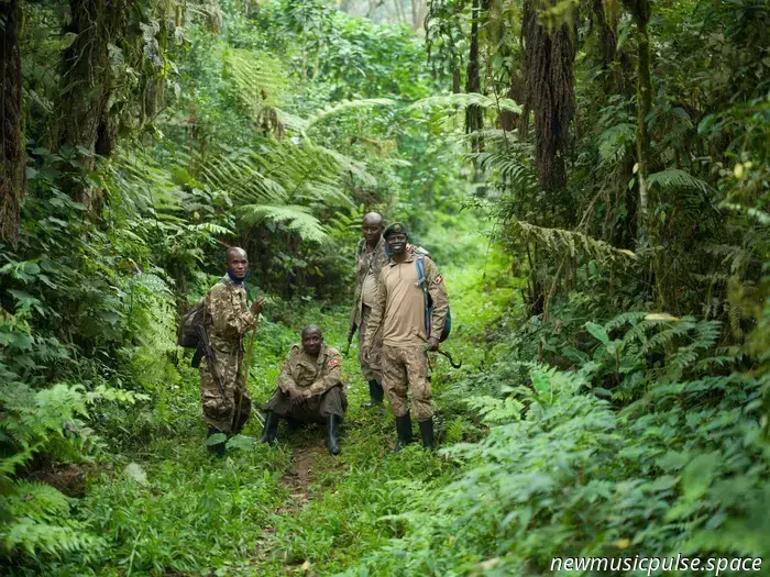 Cult skate documentarian Ian Reid's latest photobook, 'Positive Tracks,' showcases the remarkable Ugandan communities dedicated to saving mountain gorillas.